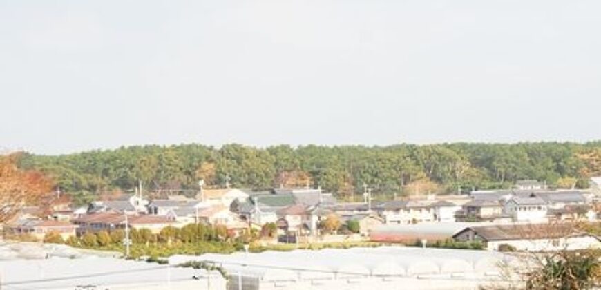 浜崎の土地（鏡山中腹付近）