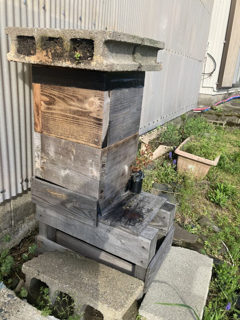 にほんみつばちストーリー